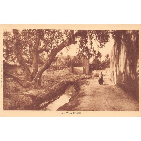Rare collectable postcards of Algeria. Vintage Postcards of Algeria