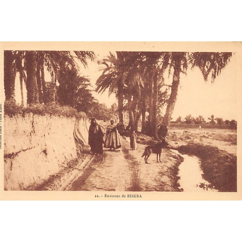 Rare collectable postcards of Algeria. Vintage Postcards of Algeria