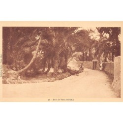 Rare collectable postcards of Algeria. Vintage Postcards of Algeria