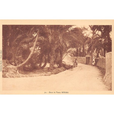 Rare collectable postcards of Algeria. Vintage Postcards of Algeria