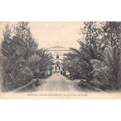 Rare collectable postcards of Algeria. Vintage Postcards of Algeria