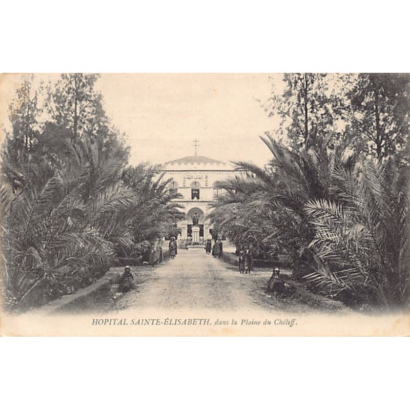 Rare collectable postcards of Algeria. Vintage Postcards of Algeria