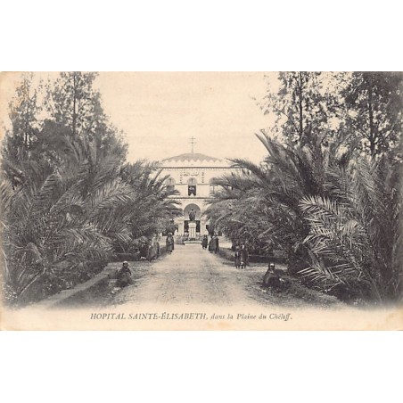 Rare collectable postcards of Algeria. Vintage Postcards of Algeria