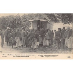 Rare collectable postcards of Algeria. Vintage Postcards of Algeria