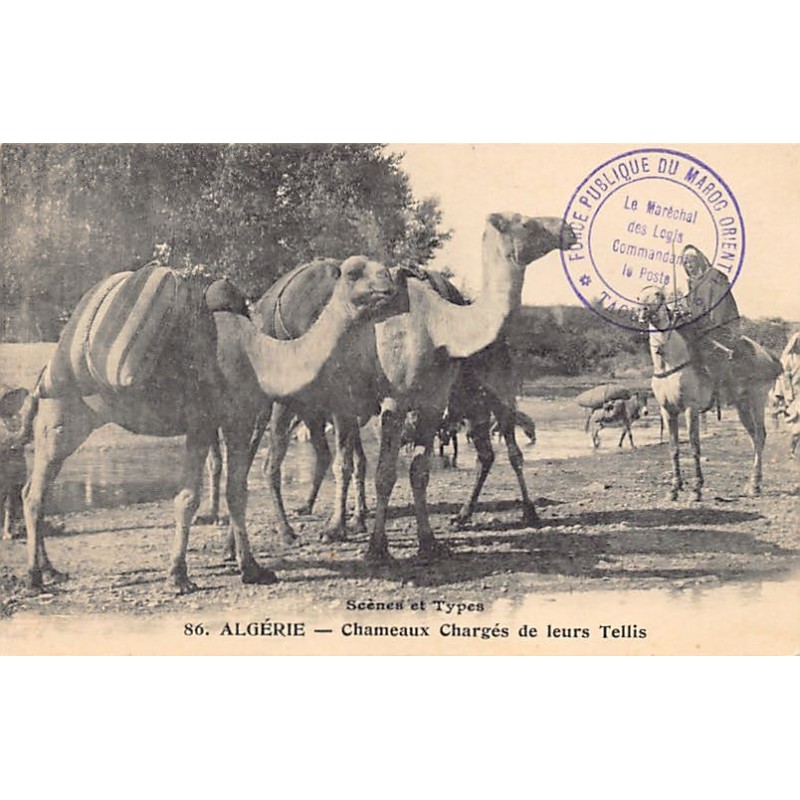 Rare collectable postcards of Algeria. Vintage Postcards of Algeria
