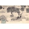 Rare collectable postcards of Algeria. Vintage Postcards of Algeria