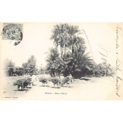 Rare collectable postcards of Algeria. Vintage Postcards of Algeria
