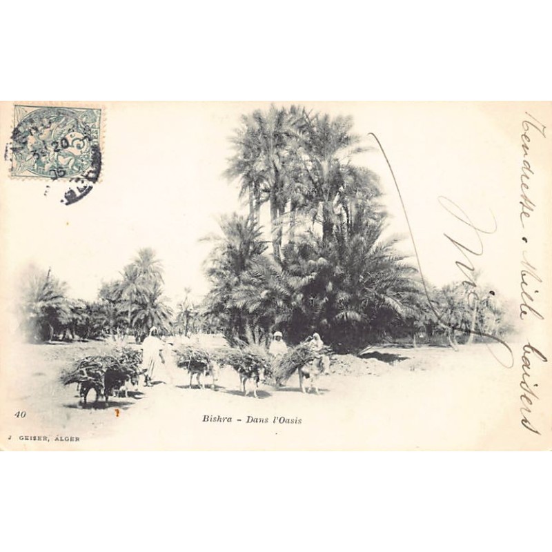 Rare collectable postcards of Algeria. Vintage Postcards of Algeria