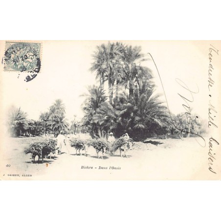 Rare collectable postcards of Algeria. Vintage Postcards of Algeria