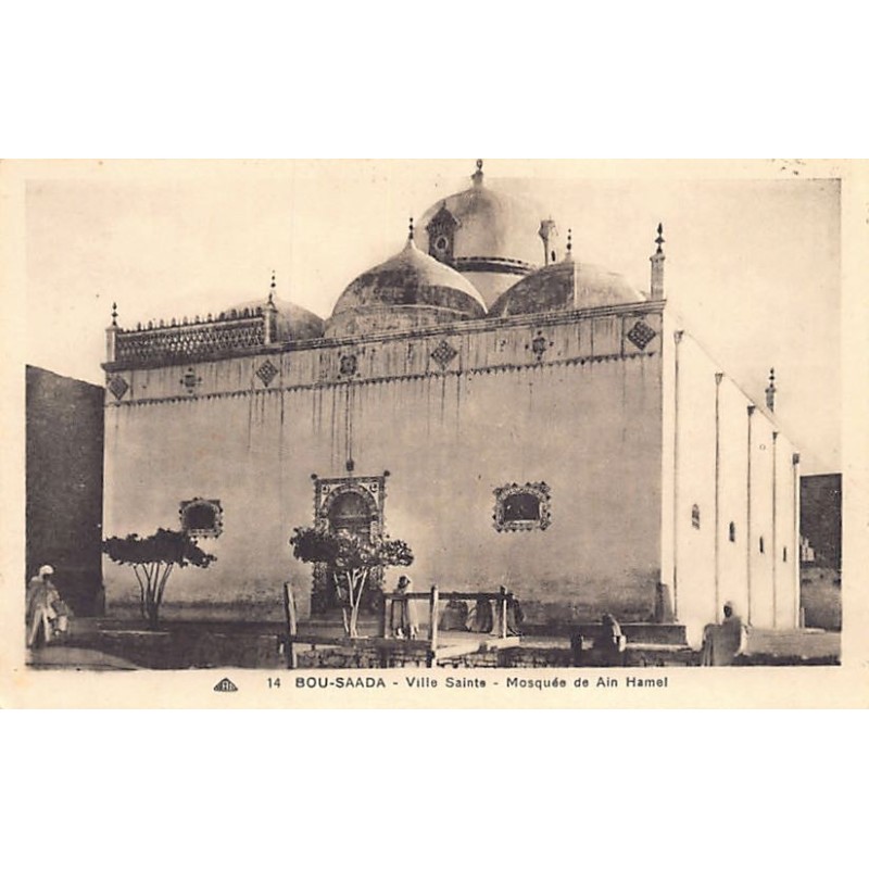 Rare collectable postcards of Algeria. Vintage Postcards of Algeria