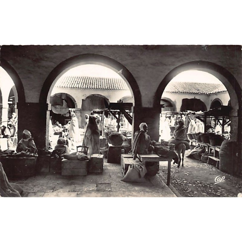 Rare collectable postcards of Algeria. Vintage Postcards of Algeria