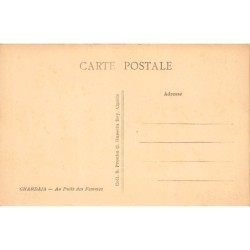 Rare collectable postcards of Algeria. Vintage Postcards of Algeria