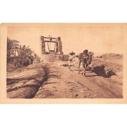 Rare collectable postcards of Algeria. Vintage Postcards of Algeria