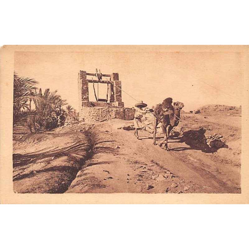Rare collectable postcards of Algeria. Vintage Postcards of Algeria