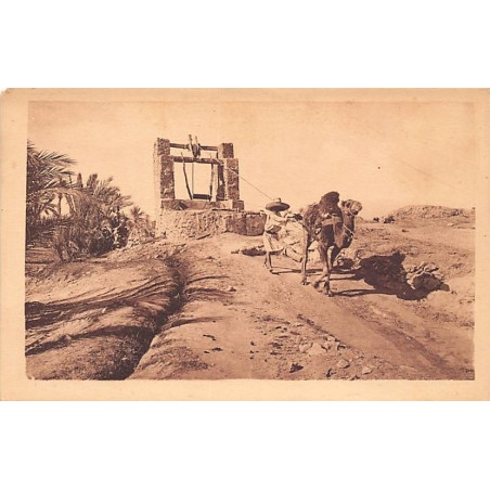 Rare collectable postcards of Algeria. Vintage Postcards of Algeria