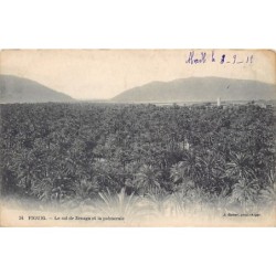 Rare collectable postcards of Algeria. Vintage Postcards of Algeria
