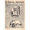 Rare collectable postcards of Algeria. Vintage Postcards of Algeria