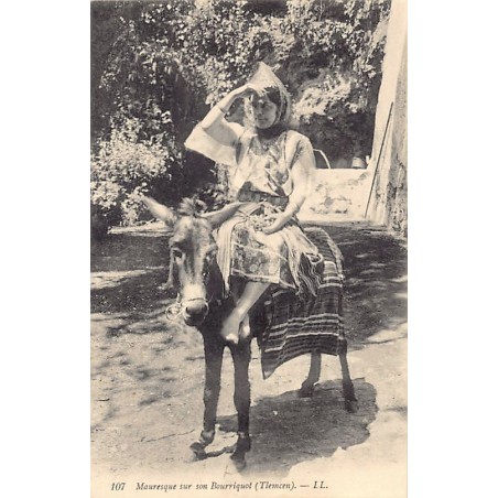 Rare collectable postcards of Algeria. Vintage Postcards of Algeria