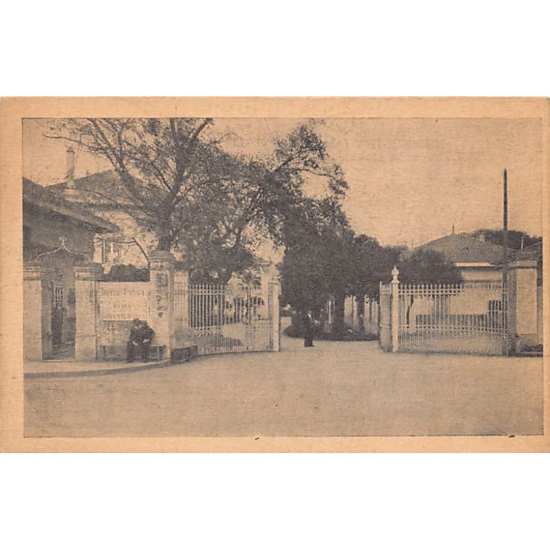 Rare collectable postcards of Algeria. Vintage Postcards of Algeria