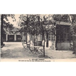 Rare collectable postcards of Algeria. Vintage Postcards of Algeria