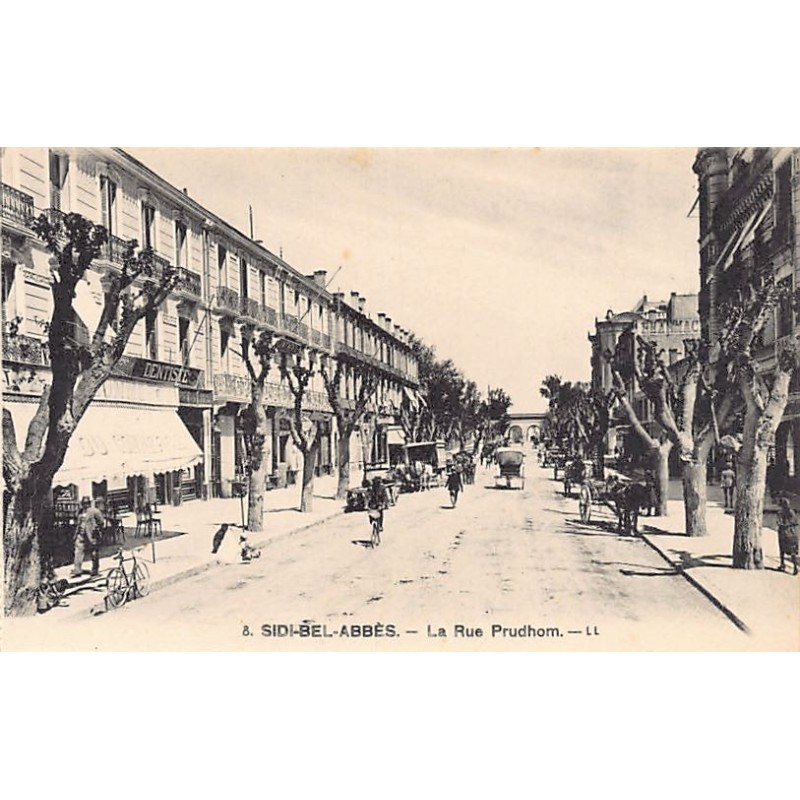 Rare collectable postcards of Algeria. Vintage Postcards of Algeria