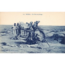 Rare collectable postcards of Algeria. Vintage Postcards of Algeria