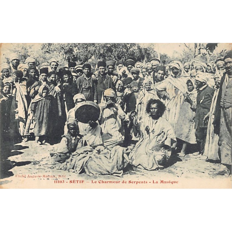 Rare collectable postcards of Algeria. Vintage Postcards of Algeria