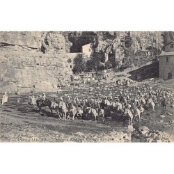 Rare collectable postcards of Algeria. Vintage Postcards of Algeria