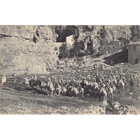 Rare collectable postcards of Algeria. Vintage Postcards of Algeria