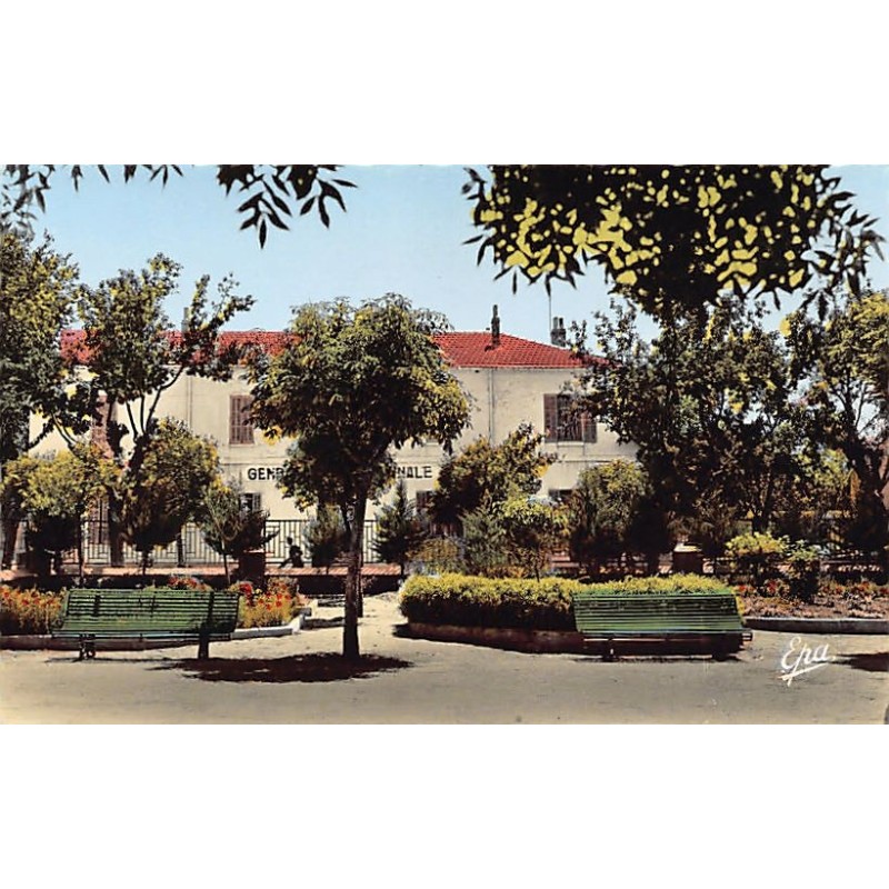 Rare collectable postcards of Algeria. Vintage Postcards of Algeria