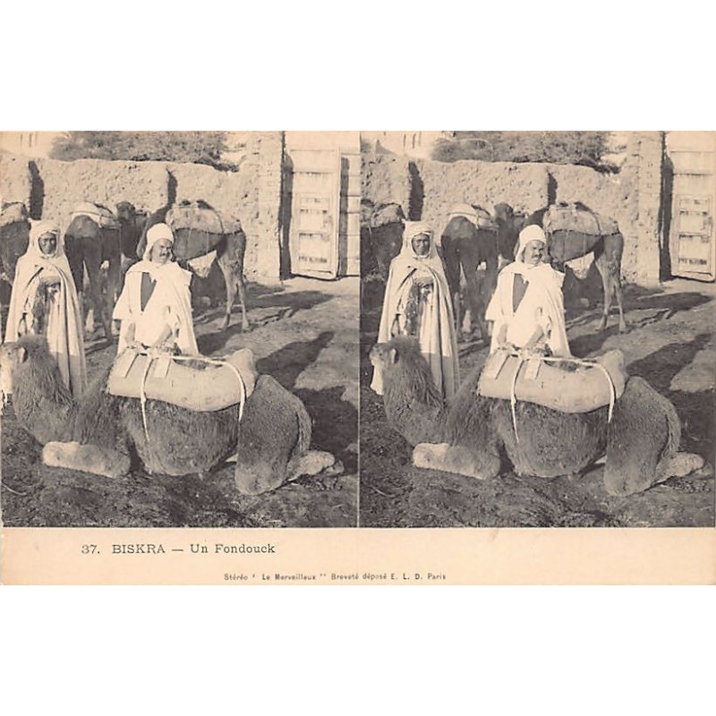 Rare collectable postcards of Algeria. Vintage Postcards of Algeria