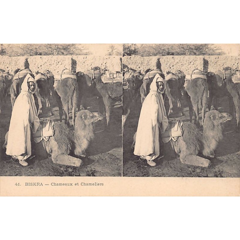 Rare collectable postcards of Algeria. Vintage Postcards of Algeria