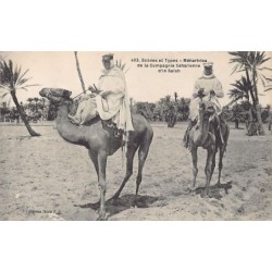 Rare collectable postcards of Algeria. Vintage Postcards of Algeria