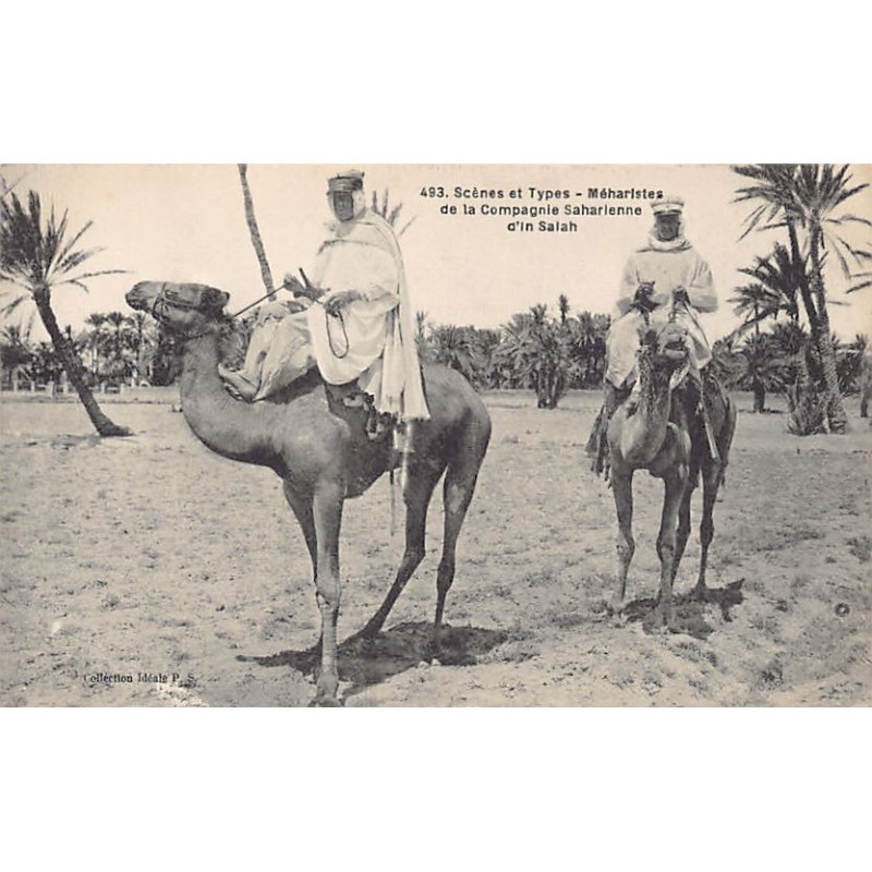 Rare collectable postcards of Algeria. Vintage Postcards of Algeria