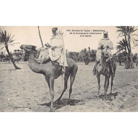 Rare collectable postcards of Algeria. Vintage Postcards of Algeria