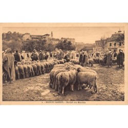Rare collectable postcards of Algeria. Vintage Postcards of Algeria
