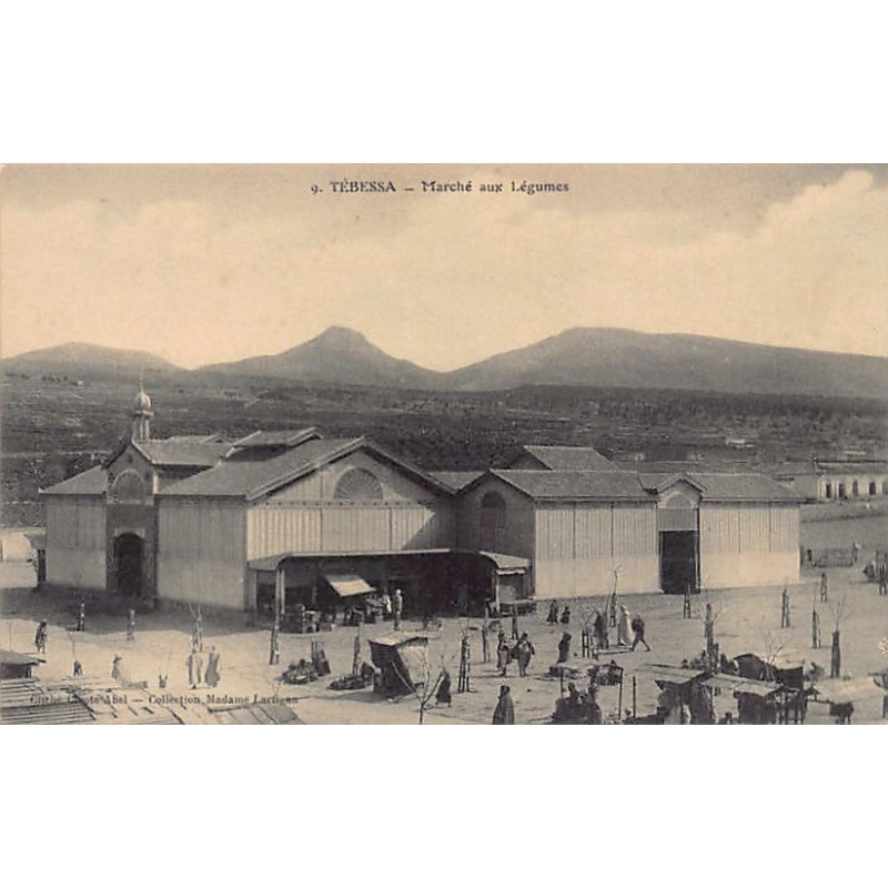 Rare collectable postcards of Algeria. Vintage Postcards of Algeria