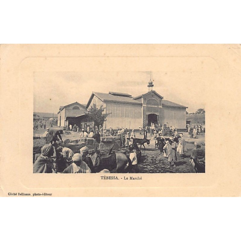 Rare collectable postcards of Algeria. Vintage Postcards of Algeria