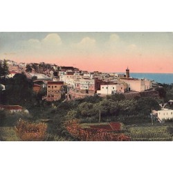 Rare collectable postcards of Algeria. Vintage Postcards of Algeria
