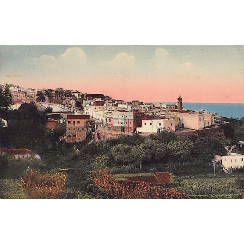 Rare collectable postcards of Algeria. Vintage Postcards of Algeria