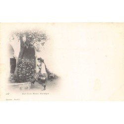 Rare collectable postcards of Algeria. Vintage Postcards of Algeria