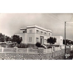 Rare collectable postcards of Algeria. Vintage Postcards of Algeria