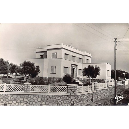 Rare collectable postcards of Algeria. Vintage Postcards of Algeria