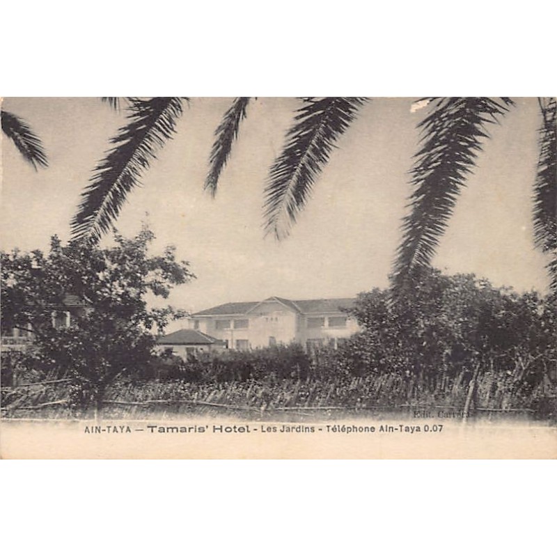 Rare collectable postcards of Algeria. Vintage Postcards of Algeria