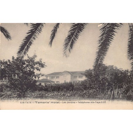 Rare collectable postcards of Algeria. Vintage Postcards of Algeria