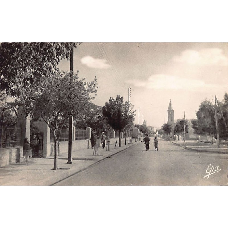 Rare collectable postcards of Algeria. Vintage Postcards of Algeria