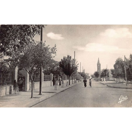 Rare collectable postcards of Algeria. Vintage Postcards of Algeria