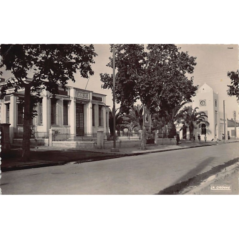 Rare collectable postcards of Algeria. Vintage Postcards of Algeria