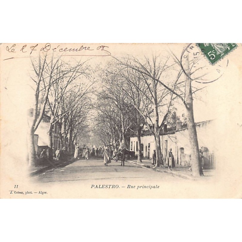 Rare collectable postcards of Algeria. Vintage Postcards of Algeria
