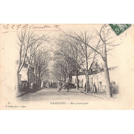 Rare collectable postcards of Algeria. Vintage Postcards of Algeria